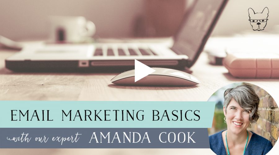 Email Marketing Basics with Amanda Cook