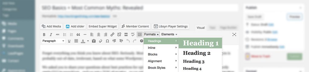 wordpress visual editor H1