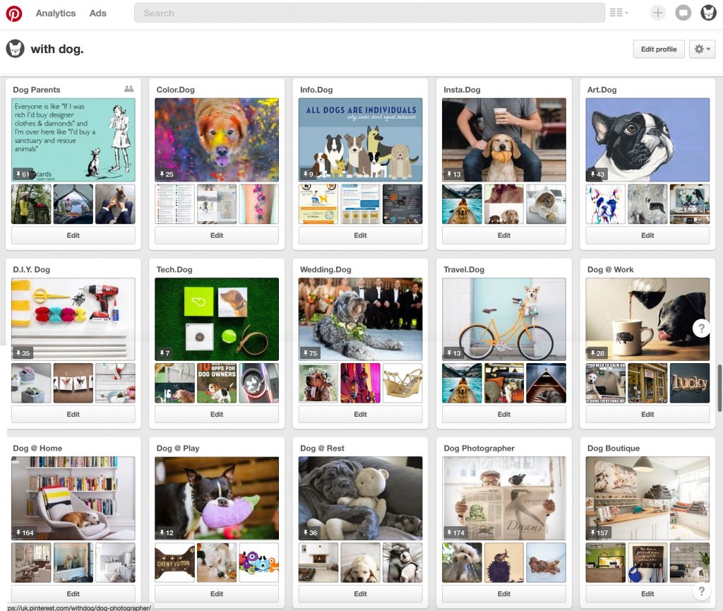 Working with Dog on Pinterest