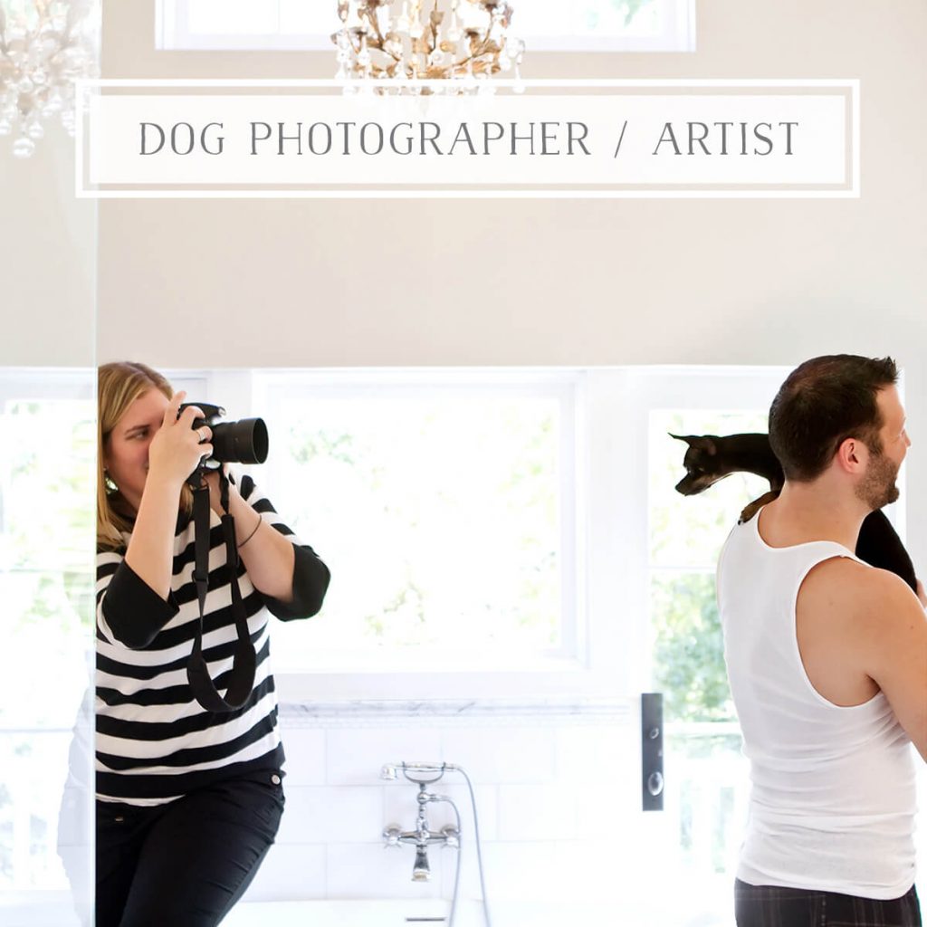 Pet Photographer