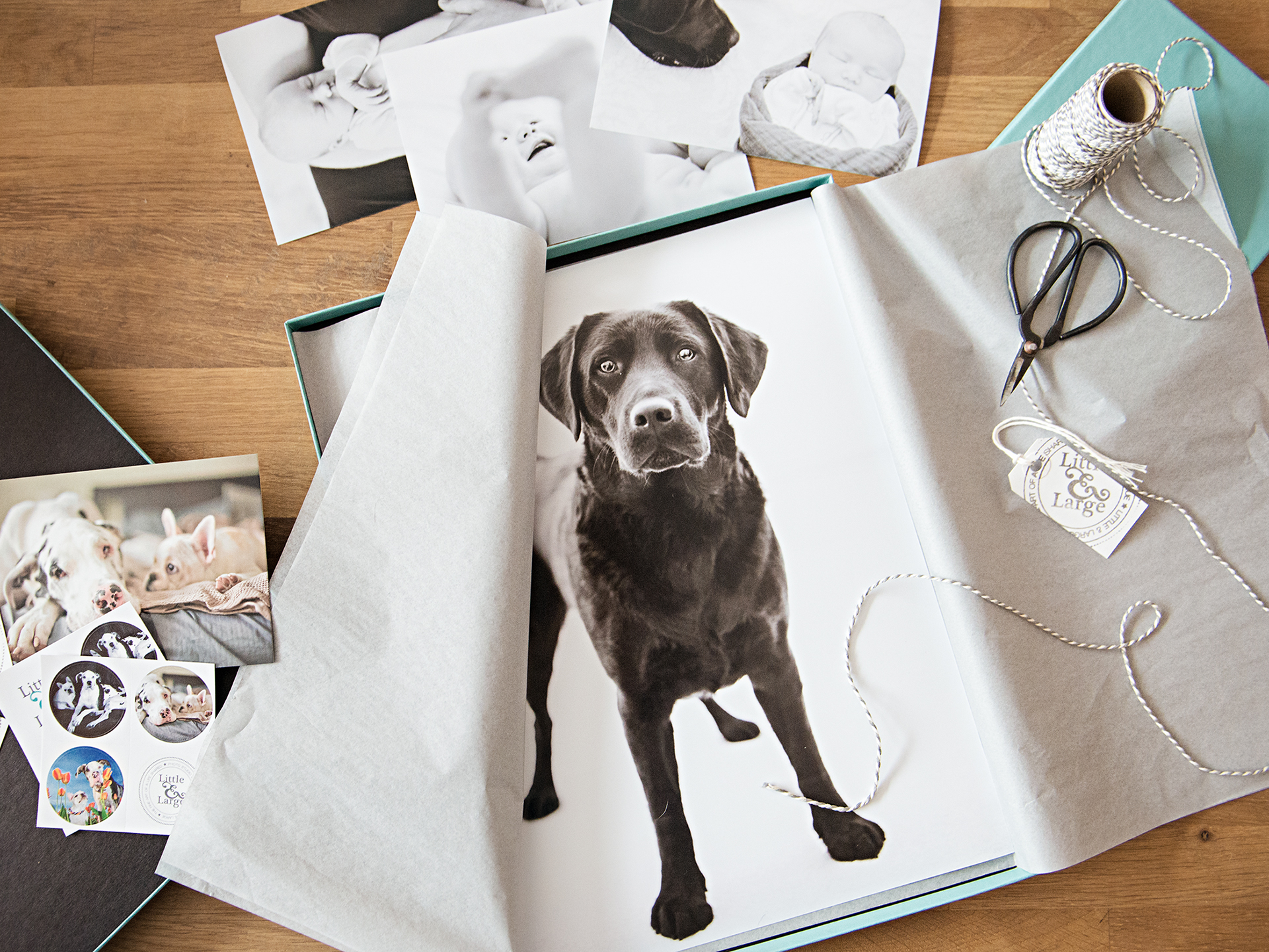 Pet Photography products, prints and packaging