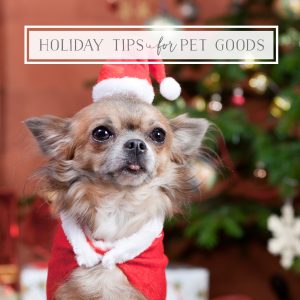 Holiday Tips for Pet Goods with Phil Chang