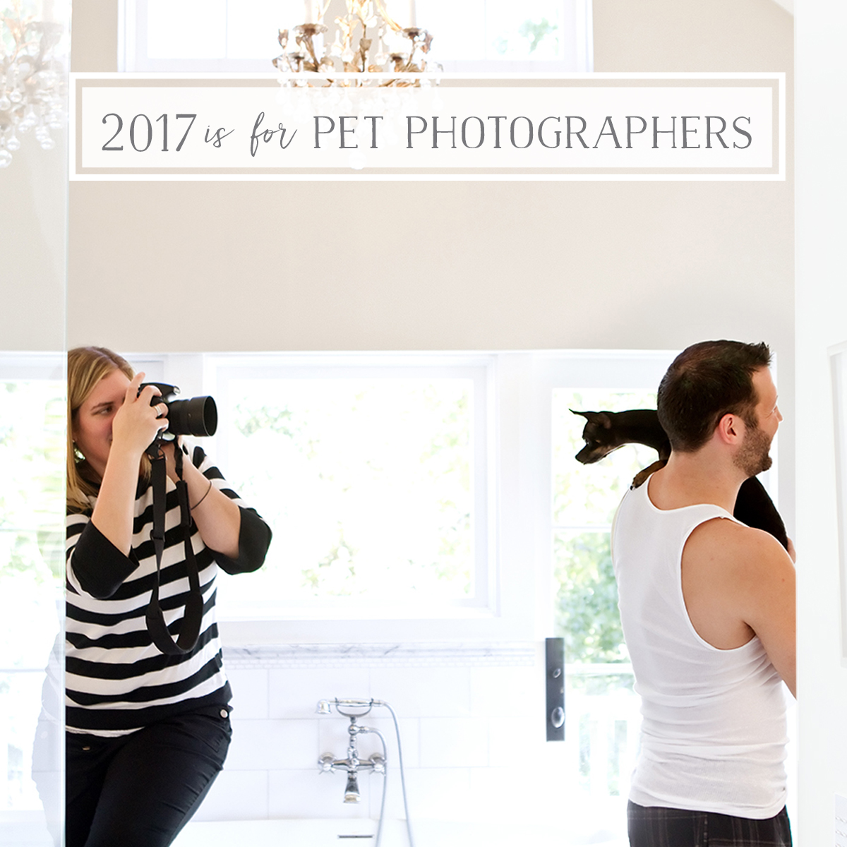 Pet Photography Profit Primer retreat in 2017