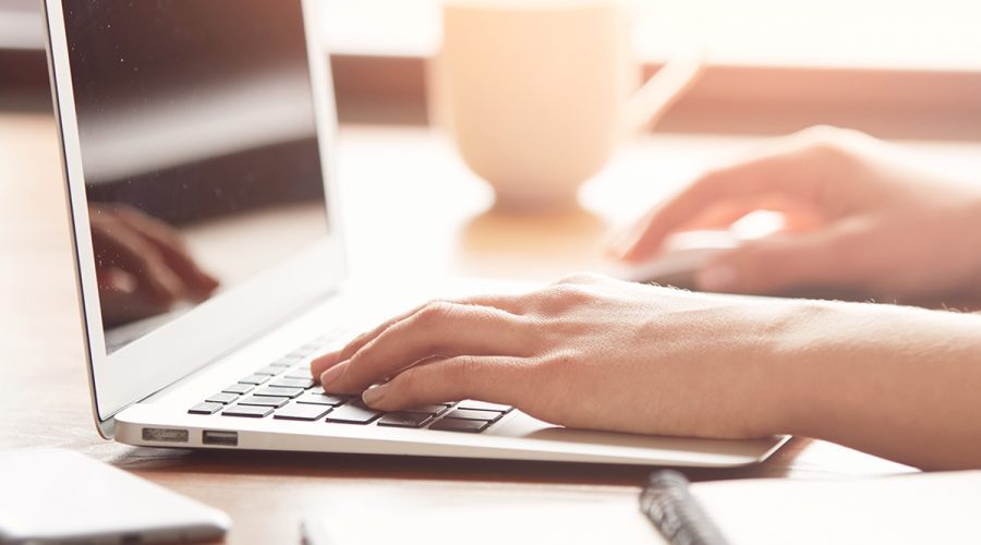 woman planning her dog brand with laptop and notebook