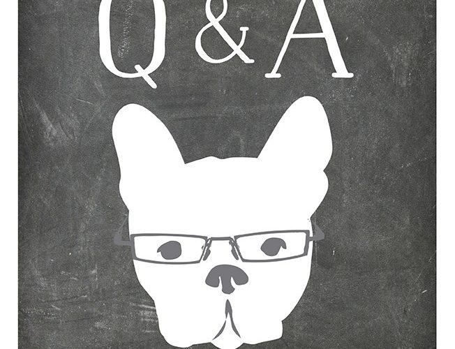 Live Q+A with Nic + the working with dog team