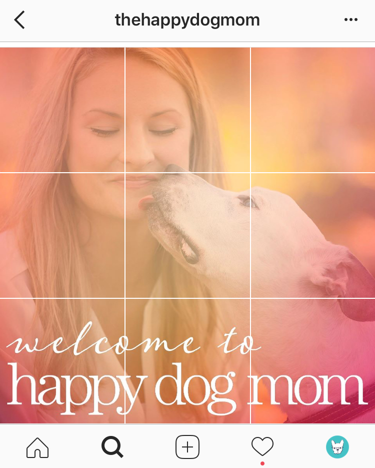 grid image on instagram @happydogmom