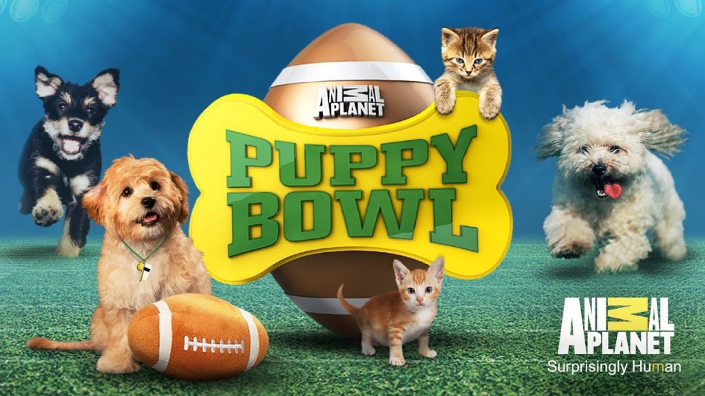 Puppy Bowl by Animal Planet