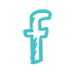 facebook icon